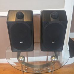  B&W CDM1 speaker.
