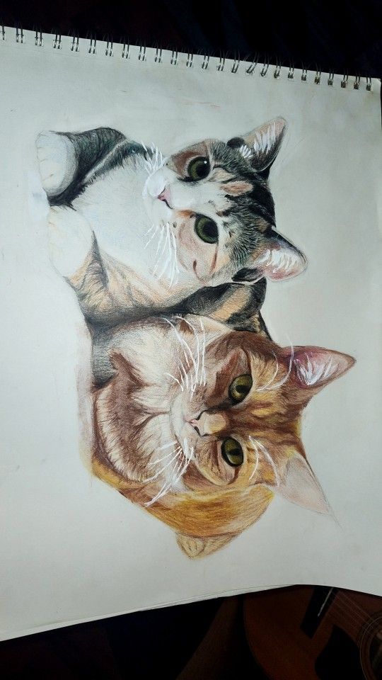 Art Commisions, Pets, People, Design Concepts, Anything
