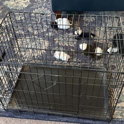 Small/medium Dog Crate 