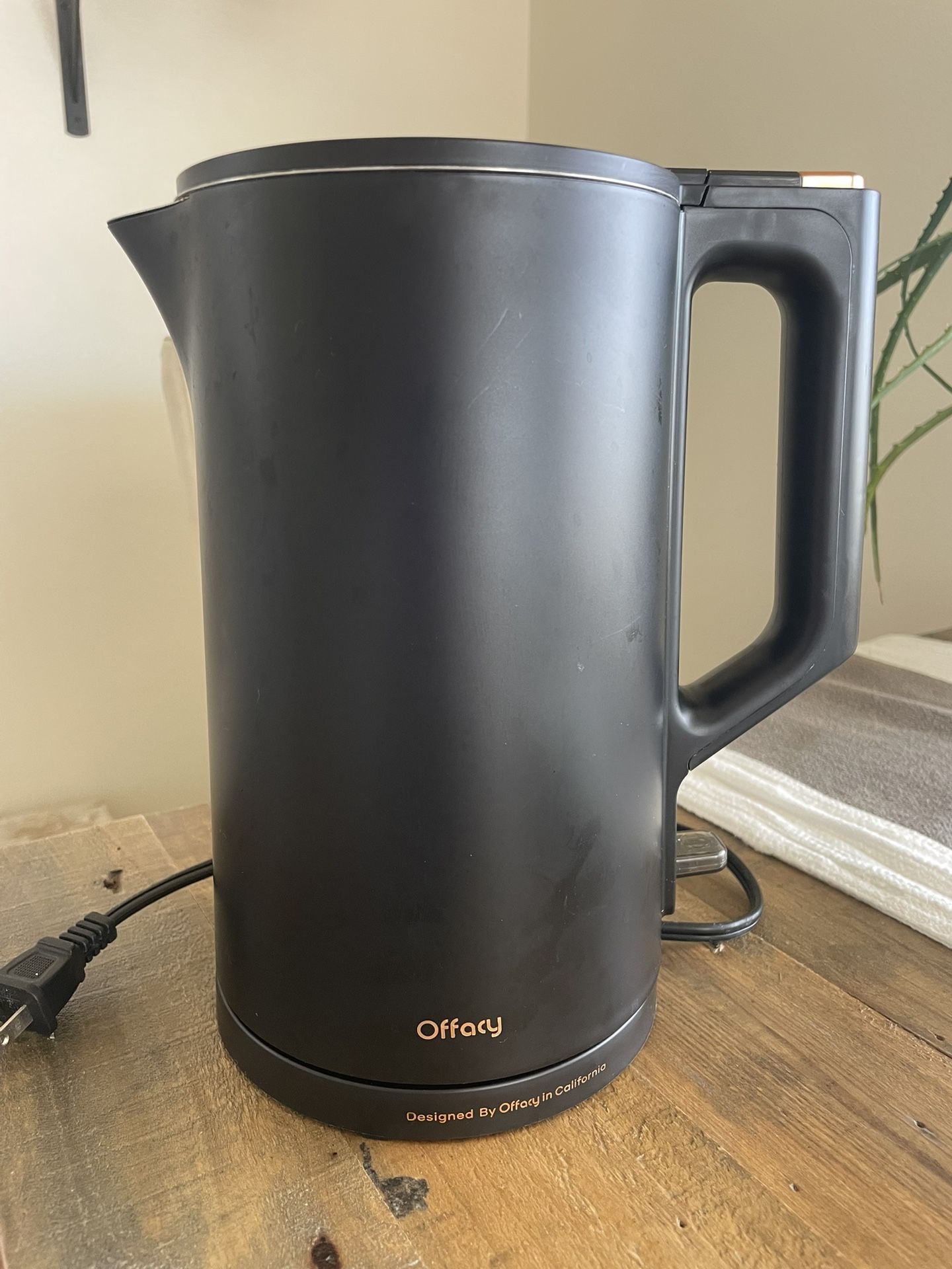 electric water kettle