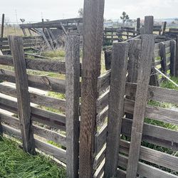 PERFECT AGED WOOD  FOR ART OR PROJECTS