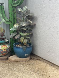 Large Patio Pots One Blue And One Pink