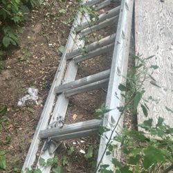 Yard Tools