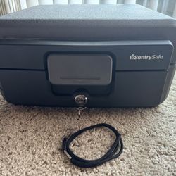 Sentry Safe 