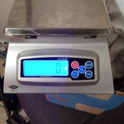 Digital scale