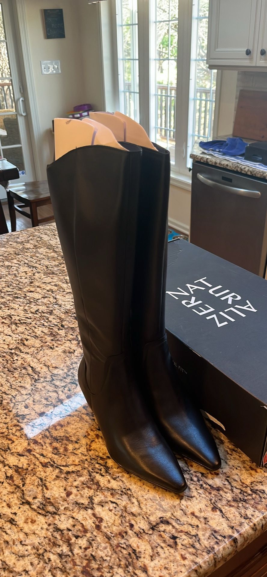 Naturalizer Deesha Talk Pointed Boots