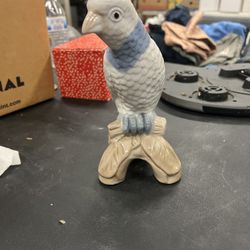 Parrot