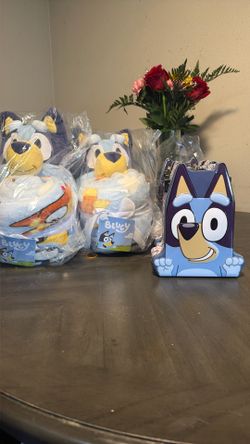 Bluey lunch box & blanket