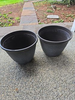Self watering pots