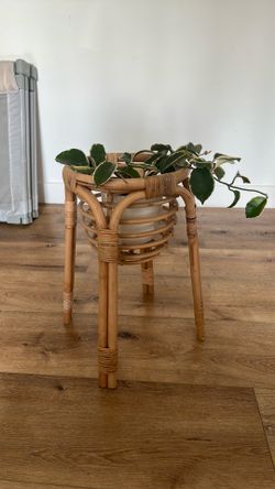 Rattan Plant Stand / Stool
