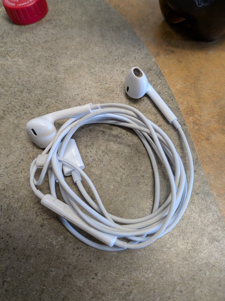 Apple Headphones Type C