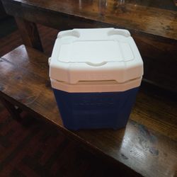Igloo 18can Cooler