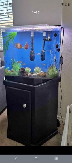 55 Gallon Hexagon Acrylic Aquarium with Stand