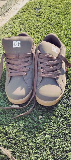 Brown DCs