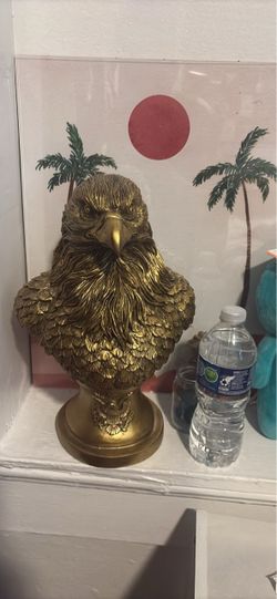 Gorgeous eagle