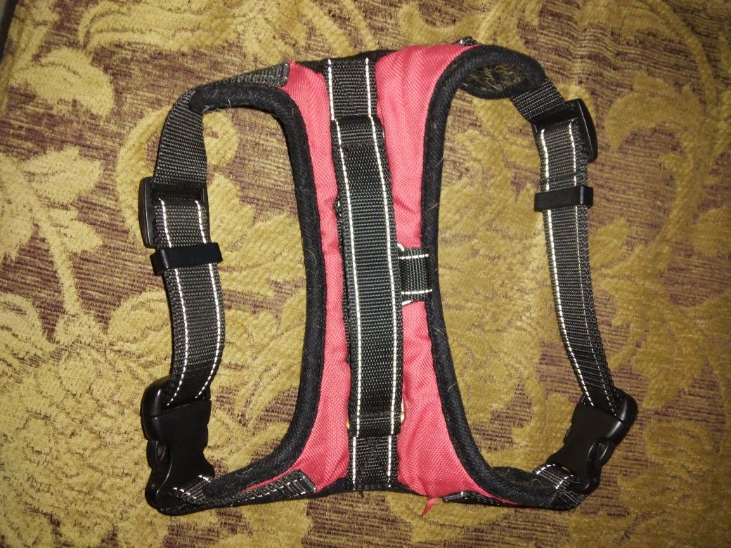 Dog Harnesses