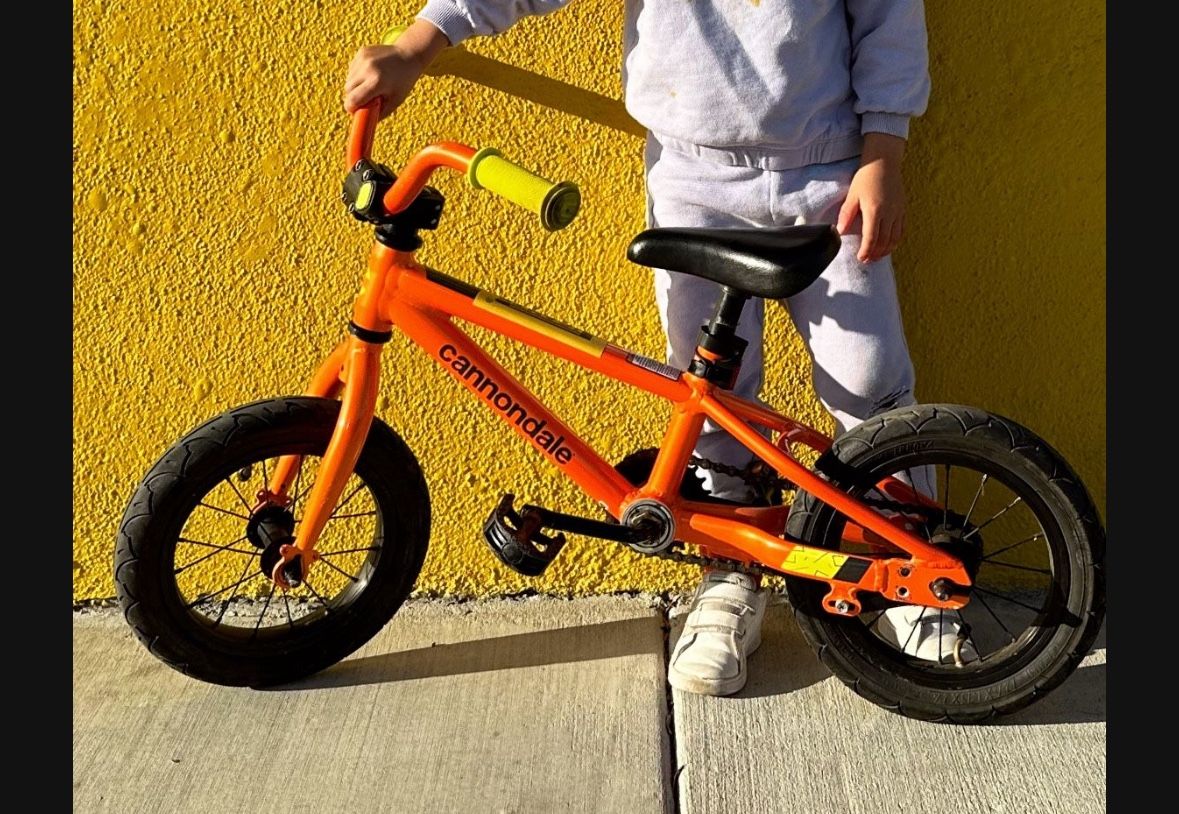 Cannondale Kids Bike