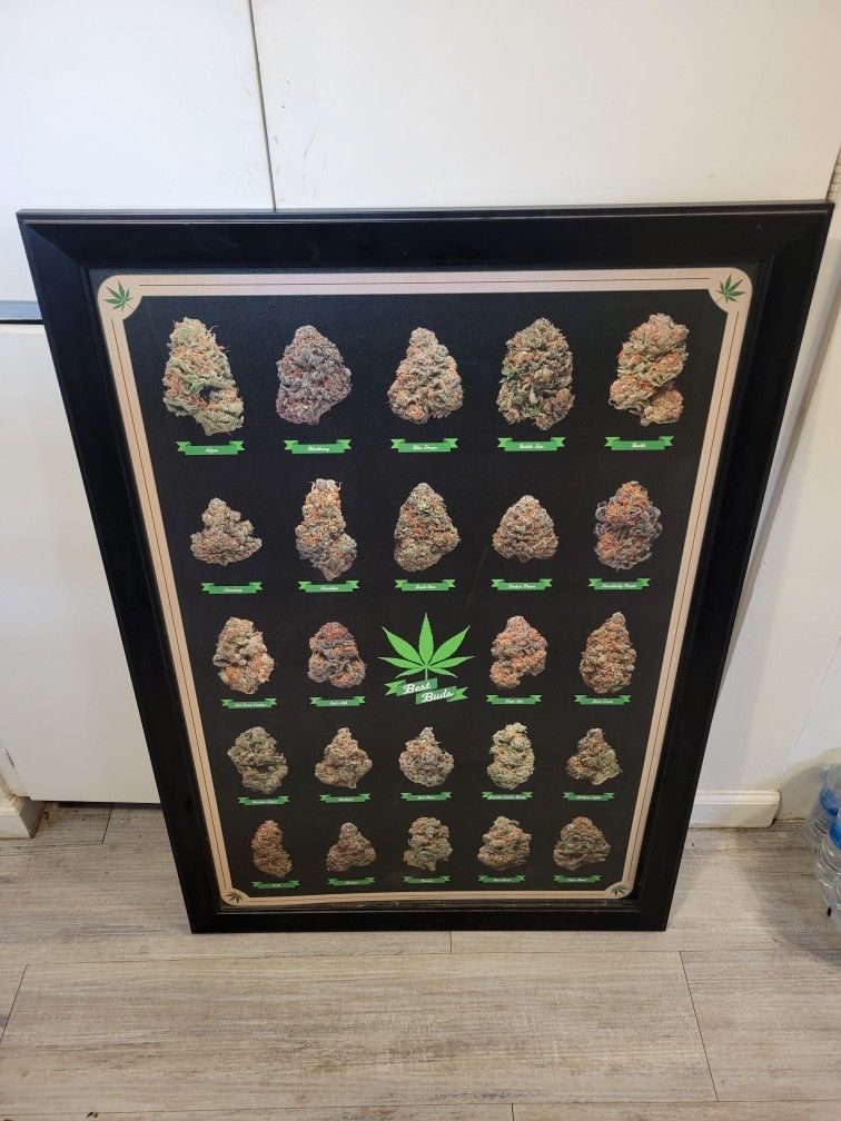 LARGE BEST BUDS
FRAMED PRINT