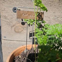 UGold Copper Garden Plant Labels 30count