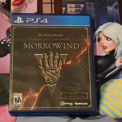 Elder Scrolls Morrow - (Sony PlayStation 4) 🌋🚢🌋