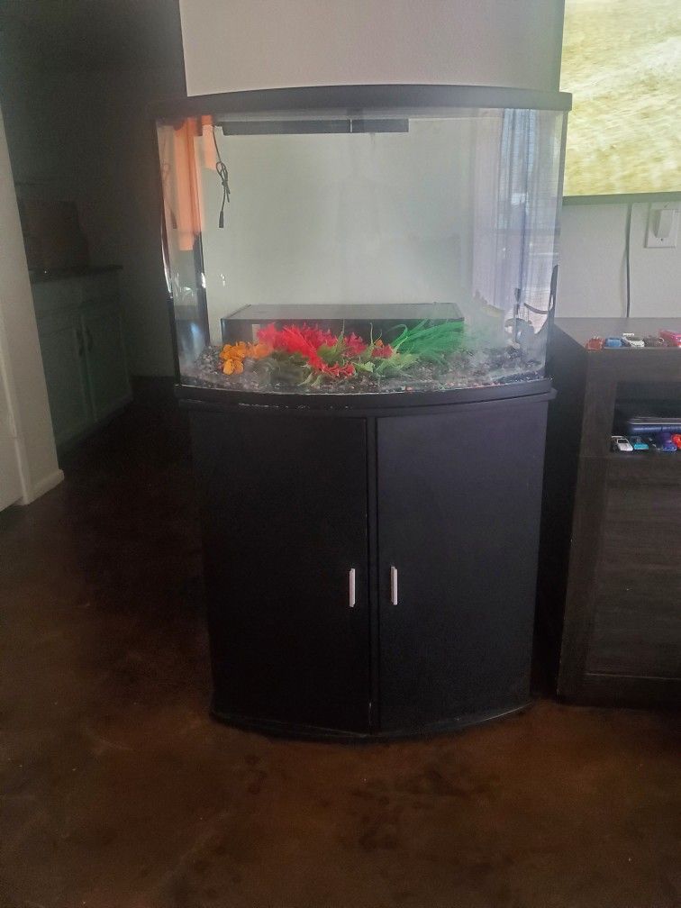 Fish Tank & Stand