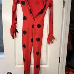 Kid’s Size Small Miraculous Halloween Costume With Mask