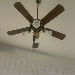 Home Celling Fan 