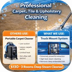 Professional carpet cleaning