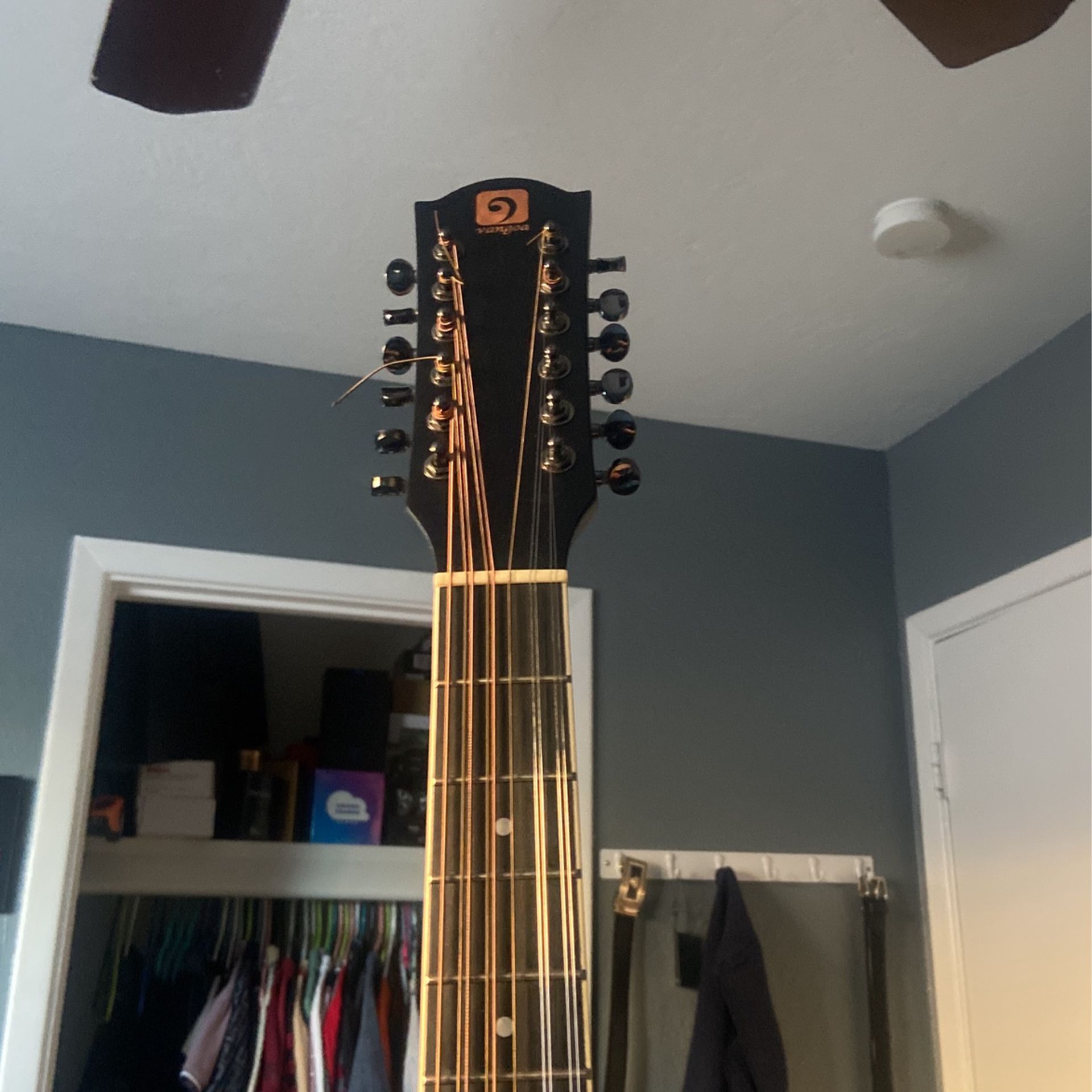 guitar 12 string