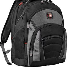 Wenger Synergy Backpack