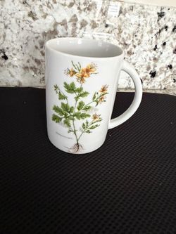 Beautiful German botanical Porcelain Mug