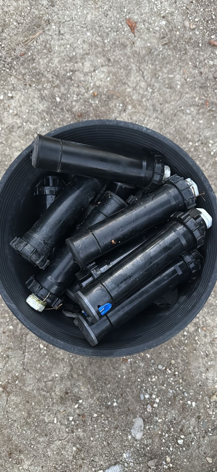 Sprinkler Heads
