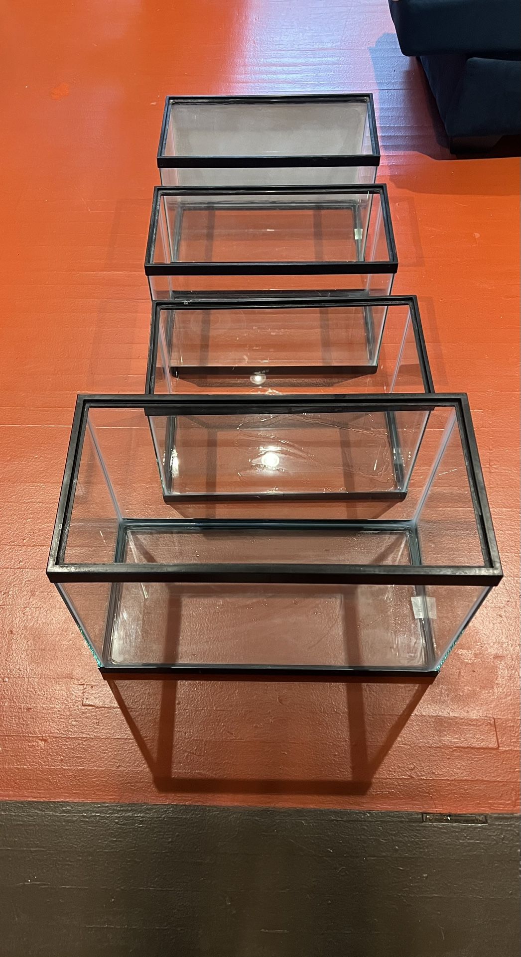 4 Fish Tanks 3 10G 1 20tall
