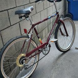 Peugeot Pipeline 5 Cruiser 26" Wheels