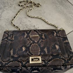 Valentino Python Purse by Mario Valentino