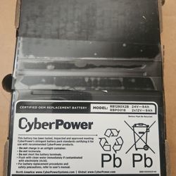 UPS Replacement Battery Cartridge, Maintenance