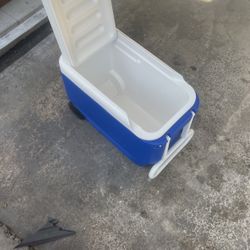 Cooler