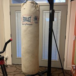 Professional Punching Bag 