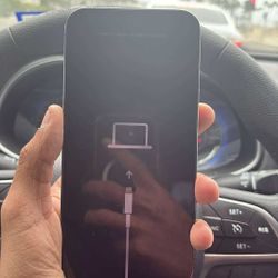 iPhone 12,13 Pro Max(ICLOUD LOCKED)