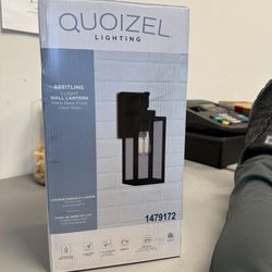 Quoizel Breitling 1-Light 13.5-in H Matte Black Hardwired Outdoor Wall Light