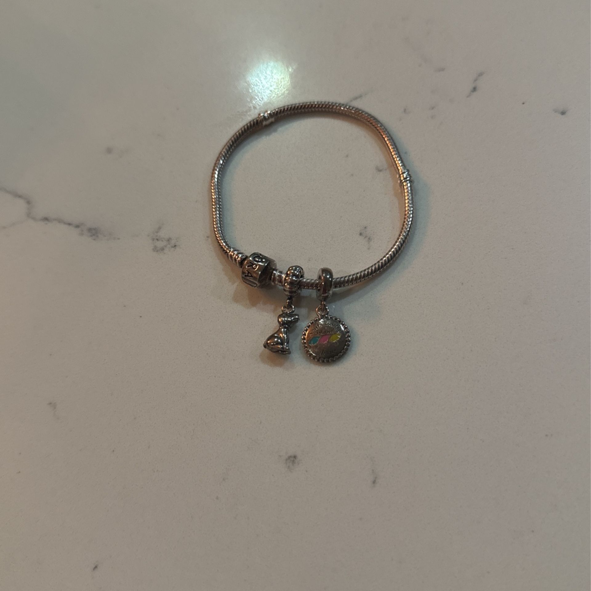 Pandora Charm Bracelet