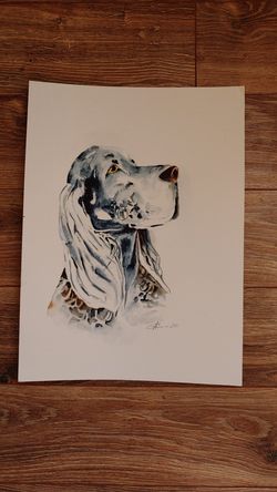 Watercolor painting,"dog setter''11x15"