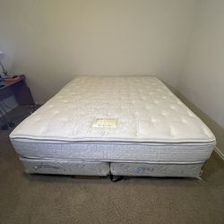King Size Mattress and Box Spring Set - Great Condition - Moving Sale