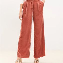 Size 6 Velvet Dress Pants In Rose Cream