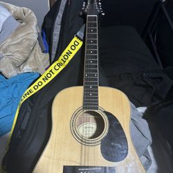 Mitchell 12 String Guitar