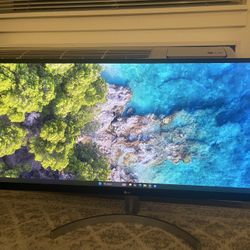LG 34 Inch Ultrawide Monitor (34WL500)
