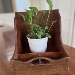 Mid Century Modern Wall Shelf | Storage 