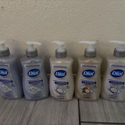 Dial  Antibacterial Hand Soap $2.00 Each