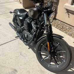 2020 Harley Iron 883 
