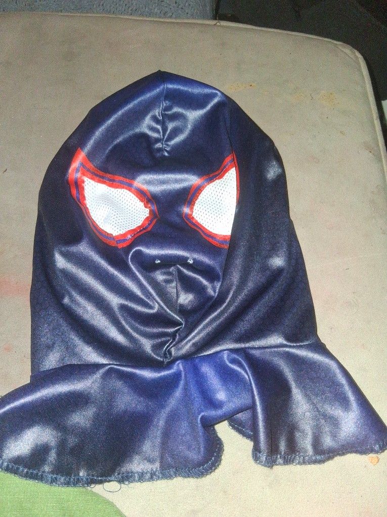 Spiderman  Miles Morales 